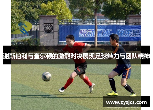 谢斯伯利与查尔顿的激烈对决展现足球魅力与团队精神