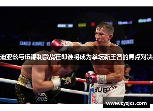 迪亚兹与伍德利激战在即谁将成为拳坛新王者的焦点对决